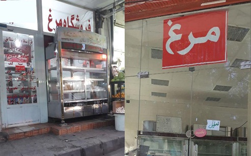 مرغ گرم در بوشهر کمیاب شد! +عکس